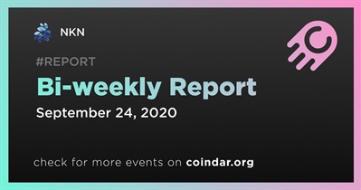 Bi-weekly Report