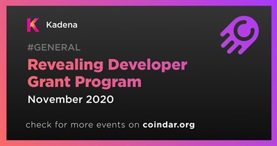 Revealing Developer Grant Program