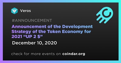 Announcement of the Development Strategy of the Token Economy for 2021 “UP 2 $”