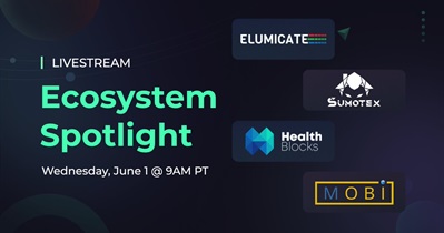 Live Stream on YouTube