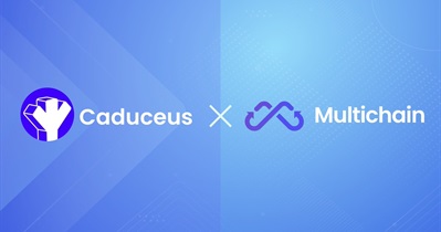 Caduceus Integration