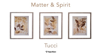 SuperRare to Release Matter & Spirit Collection on January 8th