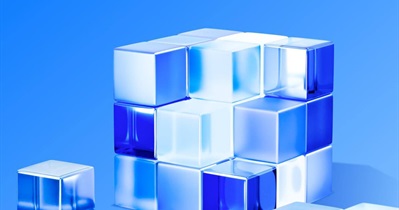 Toncoin to Introduce Society DAO