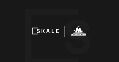 SKALE to Be Integrated With Metaverser