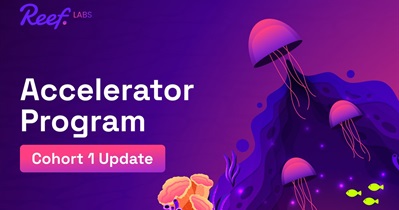 Reef Has Announced Deadline for Accepting Applications for Participation in Accelerator Program