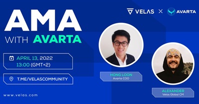 AMA on Telegram