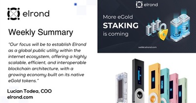 Weekly Development Update