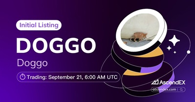 DOGGO to Be Listed on AscendEX