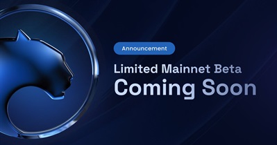 Panther Protocol to Limited Mainnet Beta on Polygon in March