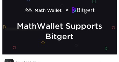 Bitgert Integration