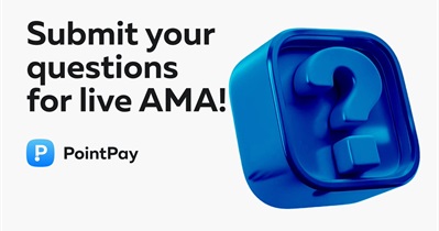 PointPay to Hold Live Stream on YouTube on February 27th