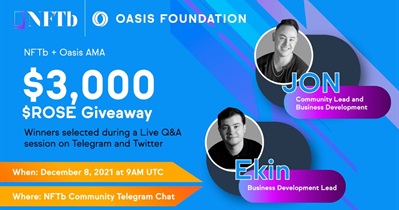 AMA on NFTb Telegram