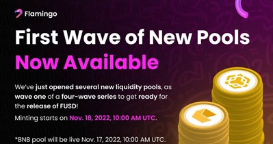 BNB Liquidity Pool