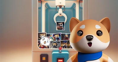 Baby Doge Coin to Release Baby Doge NFT Marketplace on May 15th