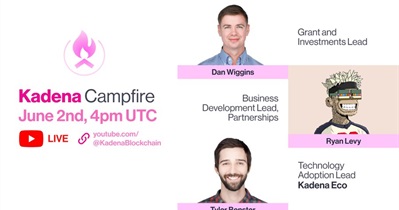 Live Stream on YouTube