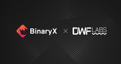 BinaryX Partners With DWF Labs