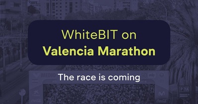 Marathon Trinidad Alfonso in Valencia, Spain