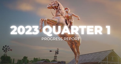 Quarter Report