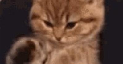 Collab.Land to Host Community Call on September 26th