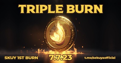 Token Burn