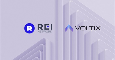 REI Network Partners With Voltix AI