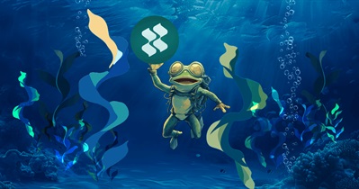 Swell Network to Hold AMA on X on December 17th