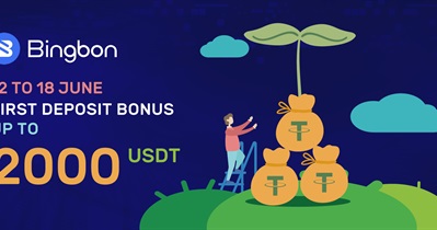 Deposit to Earn Up to 2 000 USDT on Bingbon