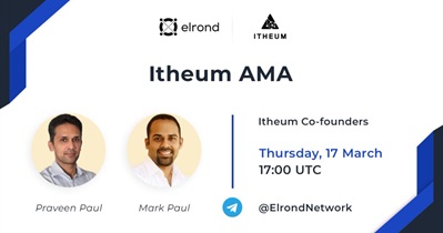 AMA on Telegram