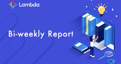 Bi-weekly Report
