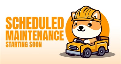 Baby Doge Coin to Release Gameplay Enhancement Update on August 22nd