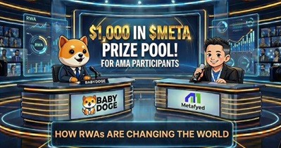 Baby Doge Coin to Hold AMA on X on December 19th