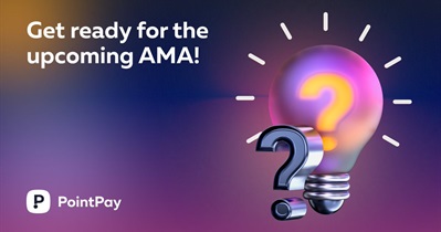 PointPay to Hold Live Stream on YouTube on November 27th