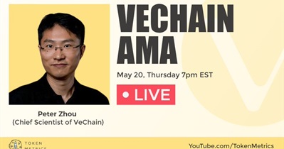 Live Stream on YouTube