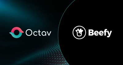 Beefy.Finance Partners With Octav