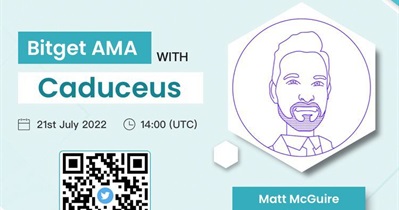 AMA on Telegram