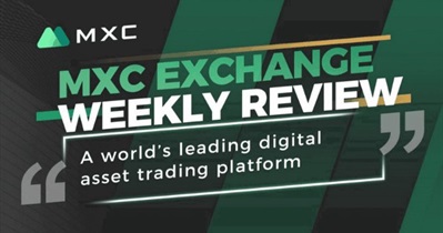 Weekly Report