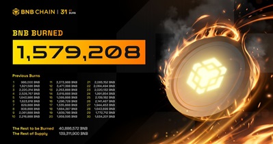 Binance Coin to Hold Token Burn