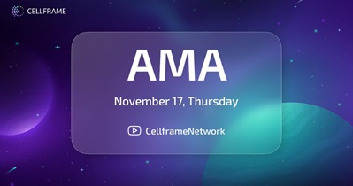 Live Stream on YouTube