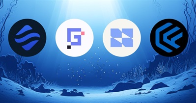 Swell Network to Hold AMA on X on January 18th