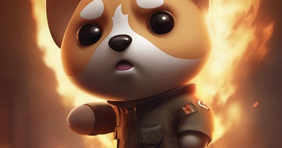 Baby Doge Coin to Hold Token Burn