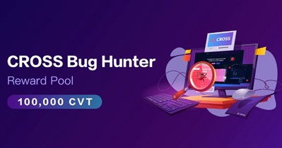Bug Hunter Program