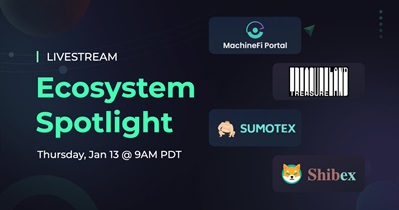 Live Stream on YouTube