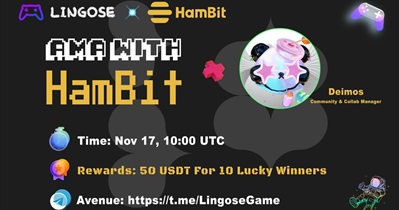 Lingose to Hold AMA on Telegram on November 17th