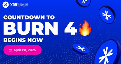 DigitalBits to Hold Token Burn