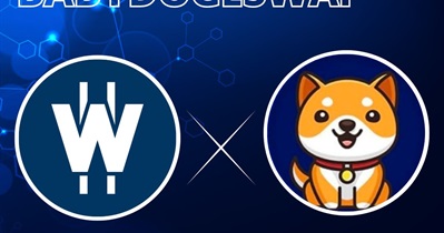 Partnership With Baby Doge