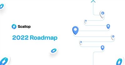 Multi Currency Wallets