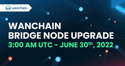Bridge Node Upgrade