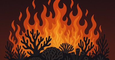 Reef to Hold Token Burn