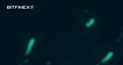 Bonk to Be Listed on Bitfinex on December 22nd