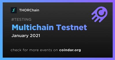 Multichain Testnet